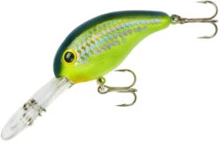 Bandit 300 Series Deep Diving Crankbait -Famous Fishing Store BDT3D66