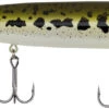 Berkley Justin Lucas J-Walker 100/120 Topwater Walker 1 Berkley Justin Lucas J-Walker 100/120 Topwater Walker -Famous Fishing Store BerkleyJWalker BabyBass 120mm 1819 alt2 2000