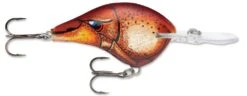 Rapala DT Series Crankbait DT14 -Famous Fishing Store Blaze f03eee2b bfa0 4ce1 9cb1 eee376c4ebd0