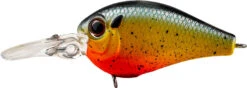 Evergreen International PC-5 Piccolo Crankbait -Famous Fishing Store BleedingSunfish