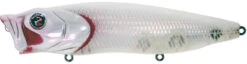 River2Sea Bubble Walker 128 Topwater Walker/Popper 20 River2Sea Bubble Walker 128 Topwater Walker/Popper -Famous Fishing Store BubbleWalkerG58RPowder c53bbcab 826d 47d6 98cb a7814f0aa174