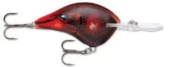 Rapala DT Series Crankbait DT14 -Famous Fishing Store Delta 6fd43553 7b93 4215 9088 e2998caefaee