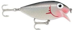 Storm Original Thinfin 06 Shallow-Medium Diving Crankbait -Famous Fishing Store Dracula 5e21a2ad 5d67 4142 8ab7 b3148d39db31
