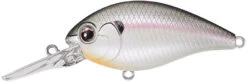 Evergreen International CR-8 Medium Diving Crankbait -Famous Fishing Store Evergreen CR 362 b8321212 23bd 48d7 ad2c 94ab456e7add