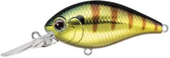 Evergreen International CR-8 Medium Diving Crankbait -Famous Fishing Store Evergreen CR 374 12d98afc f003 4140 9581 cd468e71f612