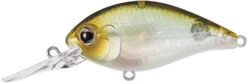 Evergreen International CR-8 Medium Diving Crankbait -Famous Fishing Store Evergreen CR 420 77d2a30f 06a8 4b3a 9311 731ac643c662