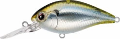Evergreen International CR-8 Medium Diving Crankbait -Famous Fishing Store Evergreen CR 426 989914fb d891 42a1 89fe c834537ecc2c