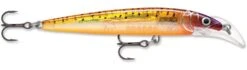 Rapala Scatter Rap Deep Husky Jerk 31 Rapala Scatter Rap Deep Husky Jerk -Famous Fishing Store Glass Purple Sunfire be42027e 10b2 4e82 9acf 0ef00c8b79b4