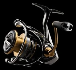 Daiwa Exceler LT Spinning Reel 9 Daiwa Exceler LT Spinning Reel -Famous Fishing Store JTKar0HY