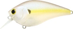 Lucky Craft LC 2.5 Shallow Squarebill Crankbait -Famous Fishing Store LC 2 5 250CRSD