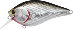 Lucky Craft LC 2.5 Shallow Squarebill Crankbait -Famous Fishing Store LC 2 5 419BPGSN