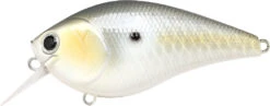 Lucky Craft LC 2.5 Shallow Squarebill Crankbait -Famous Fishing Store LC 2 5 426GTFSD