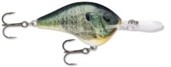Rapala DT Series Crankbait DT14 -Famous Fishing Store Live Bluegill 54b3cb75 ad99 48aa b0bf acb677e159ab