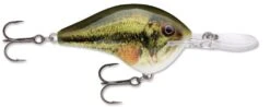 Rapala DT Series Crankbait DT14 -Famous Fishing Store Live Largemouth Bass e41a2a50 910d 4609 ac40 3bc3d77b1c5d