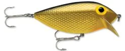 Storm Original Thinfin 06 Shallow-Medium Diving Crankbait -Famous Fishing Store Metallic Gold Black 7756ed3f 51f4 471f ae6e e512f06f1b1f
