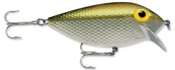 Storm Original Thinfin 06 Shallow-Medium Diving Crankbait -Famous Fishing Store Metallic Silver Gold 0b9072b5 bce7 4081 b0d4 cfe99f82b181