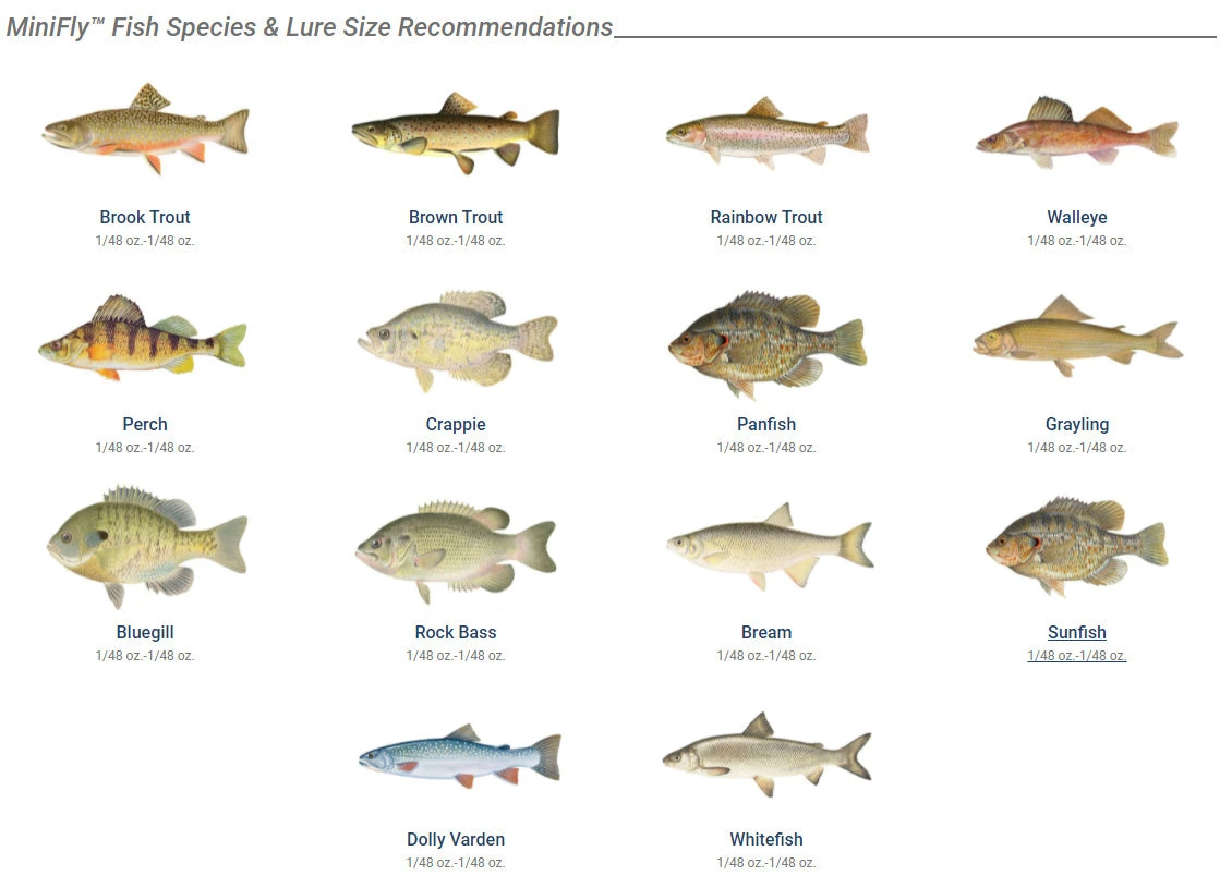 Panther Martin MiniFly 3-Pack Spinner Kit 4 Panther Martin MiniFly 3-Pack Spinner Kit - Image 2