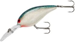 Norman Deep Little-N 2 1/2 Inch Deep Diving Crankbait 27 Norman Deep Little-N 2 1/2 Inch Deep Diving Crankbait -Famous Fishing Store NMDLN141