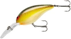 Norman Deep Little-N 2 1/2 Inch Deep Diving Crankbait 25 Norman Deep Little-N 2 1/2 Inch Deep Diving Crankbait -Famous Fishing Store NMDLN147