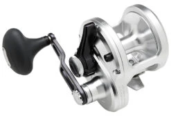 Shimano Talica 20BFC Billfish Concept Lever Drag Conventional Reel
