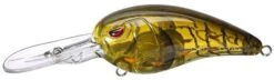 SPRO Mike McClelland RkCrawler 55 Deep Diving Crankbait 34 SPRO Mike McClelland RkCrawler 55 Deep Diving Crankbait -Famous Fishing Store Phantom Watermelon 9d9b2fef 905e 4065 a77a e65d5ca172cc