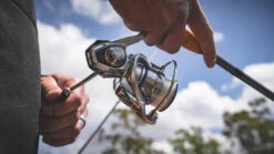 Daiwa Procyon MQ LT Spinning Reel -Famous Fishing Store Procyon1Spot