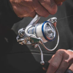 Daiwa Procyon MQ LT Spinning Reel -Famous Fishing Store Procyon3Spot 1000x a9dd0fff 5484 484f ada8 569f03ffa72b