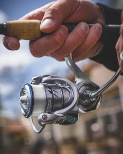 Daiwa Procyon MQ LT Spinning Reel -Famous Fishing Store Procyon5Spot