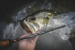Temple Fork Outfitters Professional Baitcasting Rods -Famous Fishing Store Professional Carousel Lifestlye 1