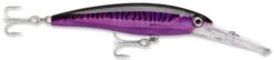 Rapala X-Rap Magnum 10 Big Game Slash Bait -Famous Fishing Store Purple Mackerel 13af5489 fdac 474f 8fb0 6672207856ee