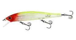 Yo-Zuri 3DB Jerkbait 110 -Famous Fishing Store R1355 PCR