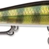 Rapala RipStop 12 Jerkbait -Famous Fishing Store RPS12 PEL