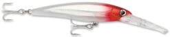Rapala X-Rap Magnum 10 Big Game Slash Bait -Famous Fishing Store Red Head 52ac9f1e 49a8 4c2b 9c69 5185c403efbd