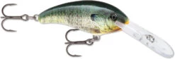 Rapala Shad Dancer SDD05 Medium Diving Crankbait -Famous Fishing Store SDD BGL