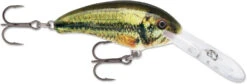 Rapala Shad Dancer SDD05 Medium Diving Crankbait -Famous Fishing Store SDD LBL