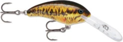 Rapala Shad Dancer SDD05 Medium Diving Crankbait -Famous Fishing Store SDD SBL