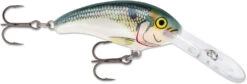 Rapala Shad Dancer SDD05 Medium Diving Crankbait -Famous Fishing Store SDD SD
