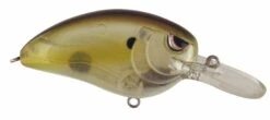 SPRO John Crews Little John MD 50 Crankbait -Famous Fishing Store SLJM50CCH ClearChartreuse