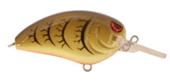 SPRO John Crews Little John MD 50 Crankbait -Famous Fishing Store SLJM50GRP GreenPumpkin