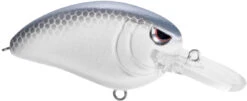 SPRO John Crews Little John MD 50 Crankbait -Famous Fishing Store SLJM50LVS LavenderShad bc92fc99 ed28 4f91 97b0 63dd1c026014