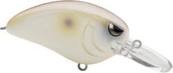 SPRO John Crews Little John MD 50 Crankbait -Famous Fishing Store SLJM50PRS PearlShad 0d4556d3 bd91 4e57 a88c 693d62ed943c
