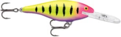 Rapala Shad Rap 3 1/2 Inch Deep Diving Crankbait SR09 32 Rapala Shad Rap 3 1/2 Inch Deep Diving Crankbait SR09 -Famous Fishing Store SR09HSP a8663c36 b877 4673 a7ed ec212164d064
