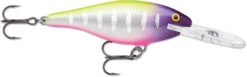 Rapala Shad Rap 3 1/2 Inch Deep Diving Crankbait SR09 40 Rapala Shad Rap 3 1/2 Inch Deep Diving Crankbait SR09 -Famous Fishing Store SR09MFT 5fc4da60 7876 4e78 9feb 272fe7730be6