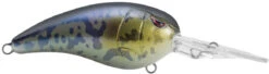 SPRO Mike McClelland RkCrawler 55 Deep Diving Crankbait 32 SPRO Mike McClelland RkCrawler 55 Deep Diving Crankbait -Famous Fishing Store SRC55GBY Goby c2787619 c747 4b9e 81ad 017876521898