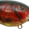 SPRO Mike McClelland RkCrawler 55 Deep Diving Crankbait 2 SPRO Mike McClelland RkCrawler 55 Deep Diving Crankbait -Famous Fishing Store SRC55RCW RedCraw 49512293 c228 4676 a8b0 14e799e36523
