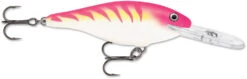 Rapala Shad Rap 2 1/2 Inch Medium Diving Crankbait SR06 40 Rapala Shad Rap 2 1/2 Inch Medium Diving Crankbait SR06 -Famous Fishing Store SR PTU 433ce0b3 8dbc 4c5a b74a d16dea1b39c8
