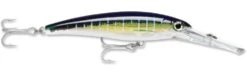 Rapala X-Rap Magnum 40 Big Game Slash Bait 36 Rapala X-Rap Magnum 40 Big Game Slash Bait -Famous Fishing Store Sailfish UV 49f7a10f d6dd 4b31 86c5 efe898da306a