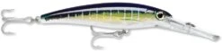 Rapala X-Rap Magnum 10 Big Game Slash Bait -Famous Fishing Store Sailfish UV 9fb6931a 3681 44e1 bda3 7a859014566d