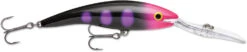 Rapala Deep Tail Dancer 09 Extra Deep Diving Crankbait 37 Rapala Deep Tail Dancer 09 Extra Deep Diving Crankbait -Famous Fishing Store TDD BLKL 9b00419a a8f6 4ea8 b23e 377e3152c3d4