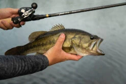 Temple Fork Outfitters Tactical Bass Baitcasting Rods -Famous Fishing Store Tactical Bass Bottom Banner Lifestlye 1 58dad5a5 5cde 4d45 abec 10983a08d6d8